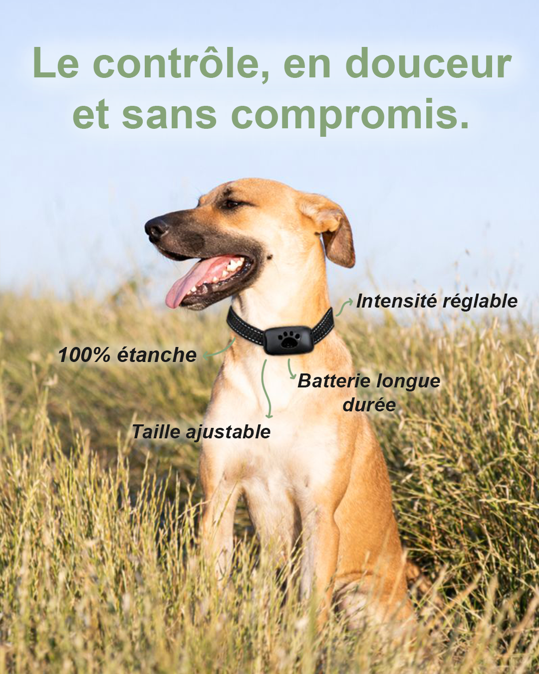 Pet Dog anti Barking Device USB Rechargeable Dogs Training Collar Ultrasonic Stop Barking Vibration anti Bark Collar