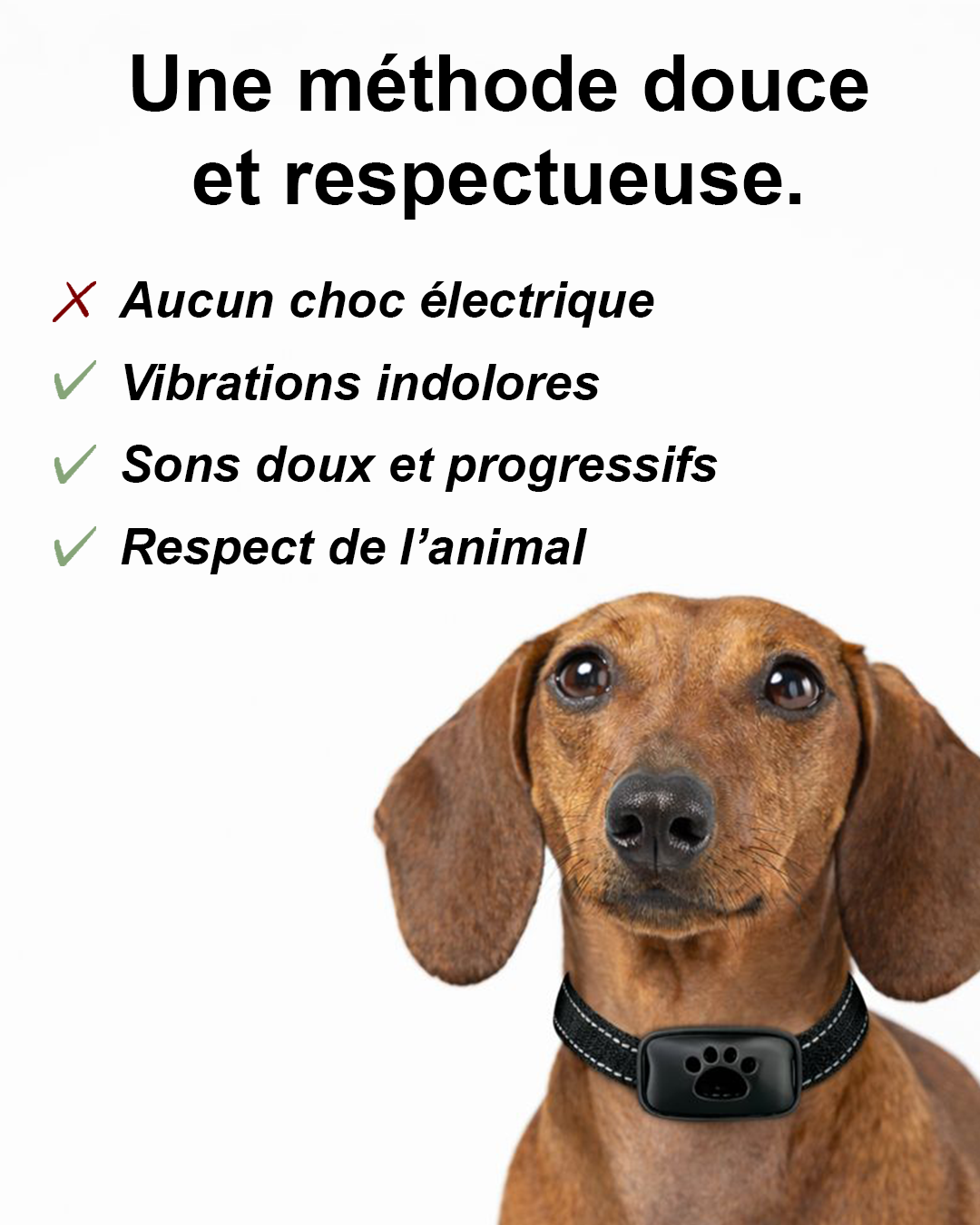 Pet Dog anti Barking Device USB Rechargeable Dogs Training Collar Ultrasonic Stop Barking Vibration anti Bark Collar