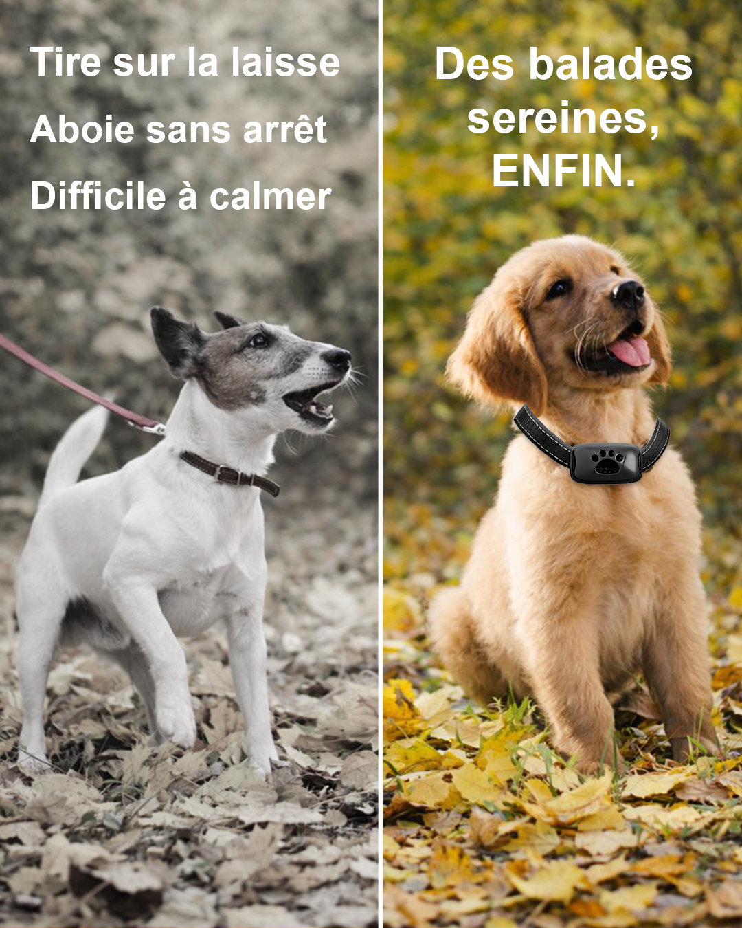 Pet Dog anti Barking Device USB Rechargeable Dogs Training Collar Ultrasonic Stop Barking Vibration anti Bark Collar